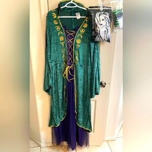 Ladies size 1x Hocus Pocus Winifred dress. Includes wig socks, jewelry